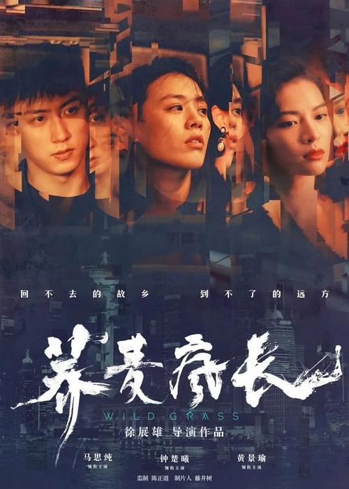 制作仿真营销师证
